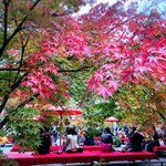 User's review image for みかえり茶屋