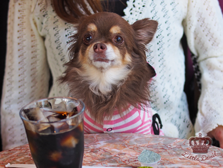 User's review image for Calva