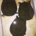 用户对于和菜 こうりん亭的评论图