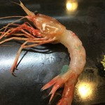 用戶對於彦ずし的評論圖