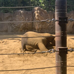 用户对于さるやまキッチン的评论图