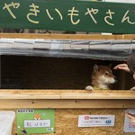 用戶對於犬のやきいも屋さん的評論圖