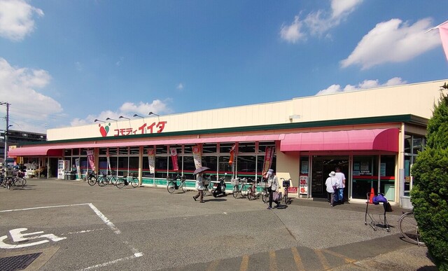 User's recommendation image for パレッタ