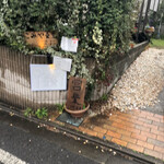 用戶對於こみや食堂的評論圖