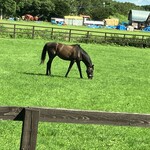 User's review image for Yogibo Versailles Resort Farm CAFE