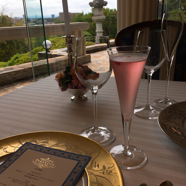 User's review image for テラコヤ