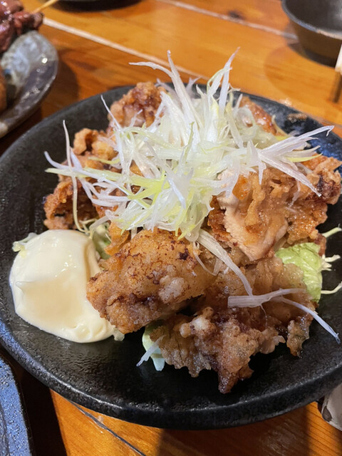 User's recommendation image for やきとりぶなん