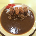 用戶對於印度のルー 天下茶屋店的評論圖