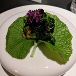 用戶對於JULIA的評論圖