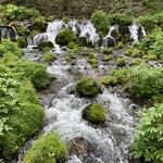 User's review image for 道の駅 名水の郷きょうごく
