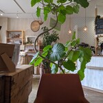 User's review image for 季節のごはんカフェ サトノ