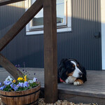 User's review image for Yogibo Versailles Resort Farm CAFE