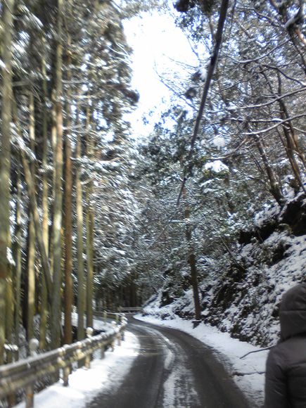 用戶對於水尾荘的評論圖