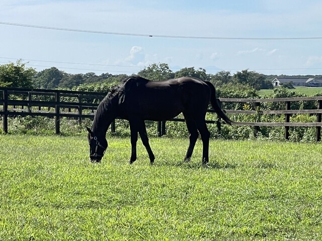 User's recommendation image for Yogibo Versailles Resort Farm CAFE