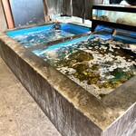 用戶對於博多 よし魚 本店的評論圖