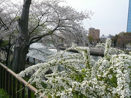 用户对于牛角 梅田阪急東通り店的评论图