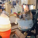 用戶對於夜アイス専門店 真夜中牧場 両国横綱横丁店的評論圖