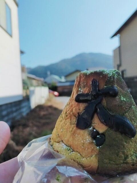 用户对于松的评论高清图