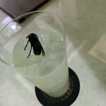 用戶對於爬虫類バー ゴルゴーン的評論圖