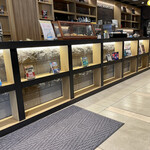 用戶對於LAMP LIGHT BOOKS CAFE的評論圖