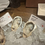 用戶對於オストレア oysterbar&restaurant 新宿三丁目店的評論圖