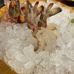 User's review image for 魚屋豪椀