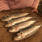 User's review image for ボニュ