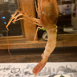 User's review image for ふる川