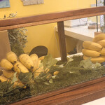 User's review image for バナナジュース専門店 バナナ×バナナ 西早稲田本店