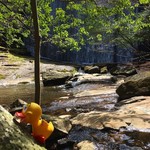 User's review image for るり渓温泉 高原バーベキュー