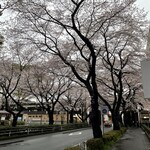 User's review image for サイゼリヤ 高尾駅南口店