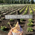 用户对于とみたメロンハウス的评论图