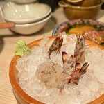用户对于渋谷 きときと的评论图