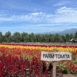 用户对于とみたメロンハウス的评论图