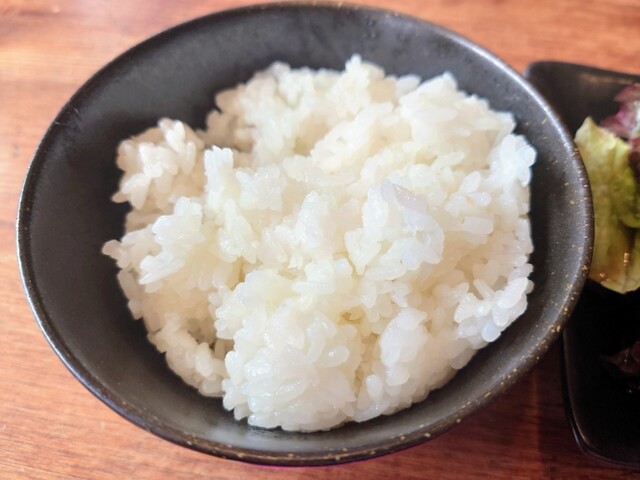 User's recommendation image for KIM NII" ZEPPIN 弁当