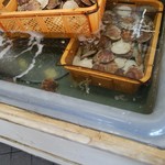 用户对于湧鮮館的评论图