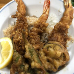 用户对于天重的评论图