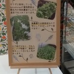 用户对于katoshoten ル・トロワ店的评论图