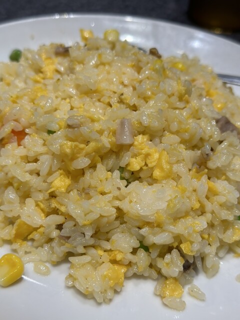 用户对于餃子の王様 龍吟 ダイバーシティ店的评论高清图