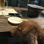 用户对于じゃんごー的评论图