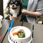 用户对于ドッグデプトカフェ お台場東京ビーチ店的评论图
