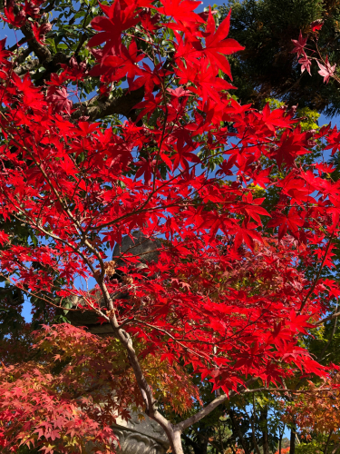 User's review image for みかえり茶屋