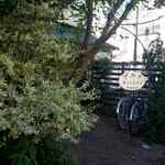 User's review image for ブルク