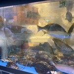 用户对于あまの的评论图