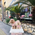用户对于ドッグデプトカフェ お台場東京ビーチ店的评论图