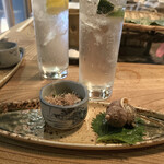 用户对于ヤマト的评论图