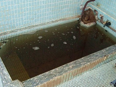 用户对于ローマの泉食堂的评论图