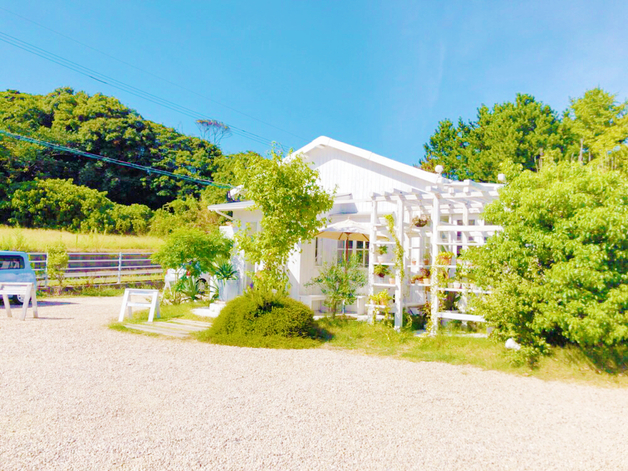 User's review image for BeachHouseStyleCafe sunflower