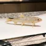 用户对于天麩羅 巽的评论图