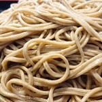 用户对于ひまわりの種的评论图
